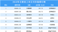 2018年吉林省上市公司市值排行榜