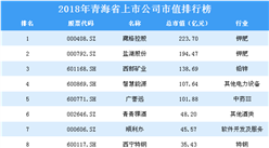 2018年青海省上市公司市值排行榜