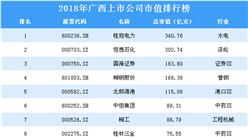 2018年廣西上市公司市值排行榜