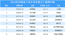 2018年河南省上市公司市值五十強排行榜