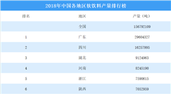 2018年中国各地区软饮料产量排行榜