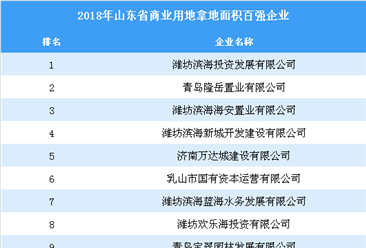 商业地产情报：2018年山东省商业用地拿地百强企业排行榜
