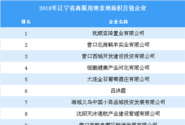 商业地产招商情报：2018年辽宁省商服用地拿地面积百强企业排行榜