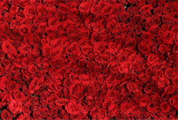 情人节鲜花销量暴增4成  2019年中国玫瑰花产业规模预测（图）