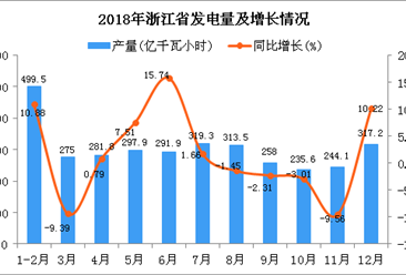 2018年浙江省发电量为3333.8亿千瓦小时 同比增长2.27%