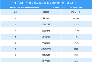 2019年1月中国充电设施运营商充电桩数量排行榜