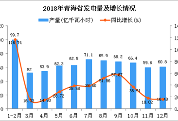 2018年青海省发电量及增长情况分析：同比增长38.94%