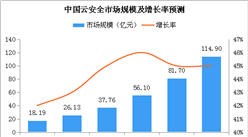 中國云安全市場迎機遇：2019年市場規模將超56億元（附圖表）