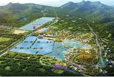 广西“五彩田园”现代特色农业示范区项目案例