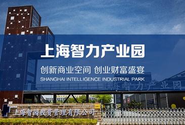 上海智力产业园项目案例