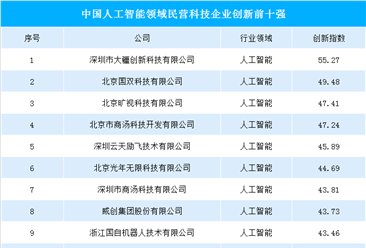 中国人工智能领域民营科技企业创新前十强：大疆/旷视/商汤榜上有名