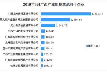 產業地產投資情報:2019年5月廣西產業用地拿地企業100強排行榜