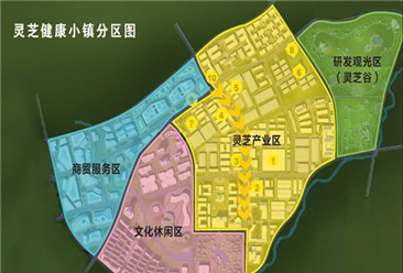 安徽省宣城市旌德县灵芝健康小镇项目案例