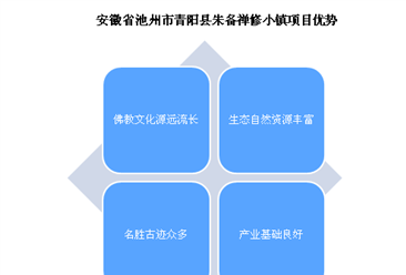 安徽省池州市青阳县朱备禅修小镇项目案例