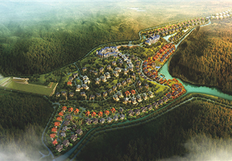 浙江温州文成森林氧吧小镇项目案例