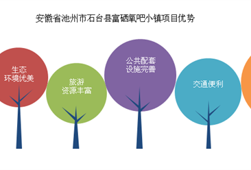安徽省池州市石台县富硒氧吧小镇项目案例