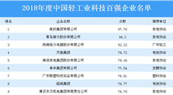 2018年度中國輕工業科技百強企業排行榜