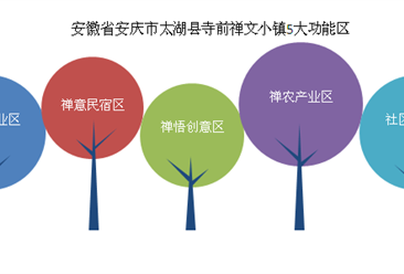 安徽省安庆市太湖县寺前禅文小镇项目案例