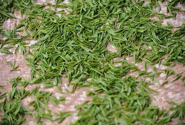 浙江丽水松阳茶香小镇项目案例