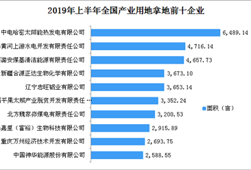 产业地产投资情报:2019年上半年全国产业用地拿地企业100强排行榜