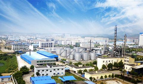 湖南岳阳绿色化工产业园项目案例