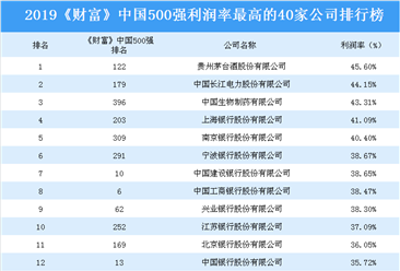 2019《财富》中国500强利润率最高的40家公司排行榜