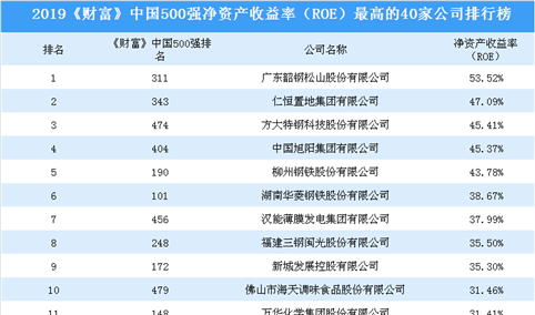 2019《财富》中国500强净资产收益率最高的40家公司排名：广东韶钢松山蝉联榜首