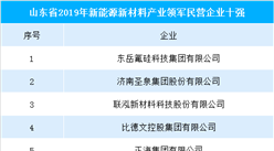 2019年山东新能源新材料产业领军民营企业10强榜