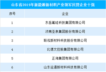 2019年山東新能源新材料產業領軍民營企業10強榜
