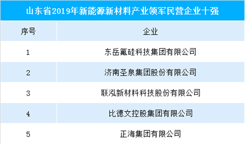 2019年山东新能源新材料产业领军民营企业10强榜