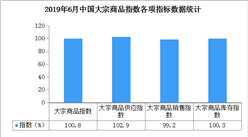 2019年6月中國大宗商品市場解讀及下半年走勢預測分析（附圖表）