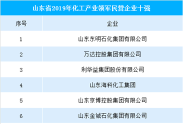 2019年山东省化工产业领军民营企业十强榜（附完整榜单）