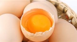 2019年7月禽蛋市场供需及价格预测分析：鸡蛋价格将稳中略涨