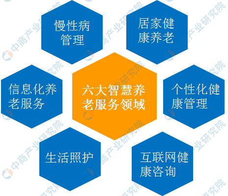 《安徽省智慧健康养老产业发展规划（2020-2025）》解读提纲