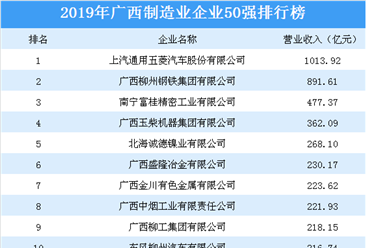 2019年广西制造业企业50强排行榜