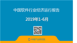 2019年1-6月中国软件行业经济运行报告（附全文）