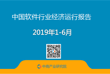 2019年1-6月中国软件行业经济运行报告（附全文）