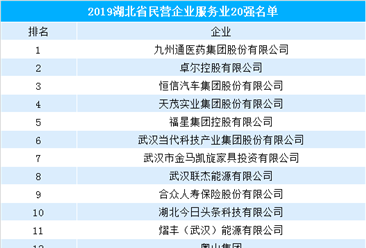 2019湖北省民营企业服务业20强排行榜（附榜单）