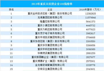 2019年重庆市民营企业100强排行榜（完整榜单）