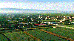 忻州市五寨縣國家農村產業融合發展示范園項目案例