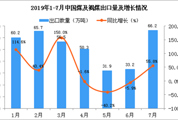 2019年7月中國煤及褐煤出口量為66.2萬噸 同比增長55.8%