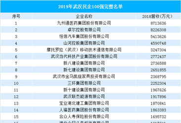 2019年武汉民营企业100强排行榜（附完整榜单）