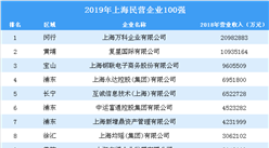 2019年上海民营企业100强排行榜（全榜单）