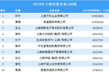 2019年上海民营企业100强排行榜（全榜单）