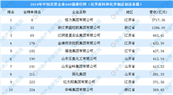 2019年中國民營企業500強排行榜（化學原料和化學制品制造業篇）