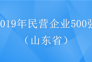 2019年中国民营企业500强排行榜（山东省全名单）