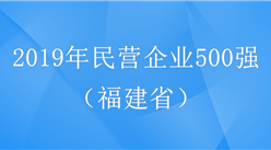 2019年中国民营企业500强排行榜（福建省）