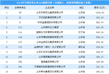 2019年中国民营企业500强排行榜（石油加工、炼焦和核燃料加工业篇）