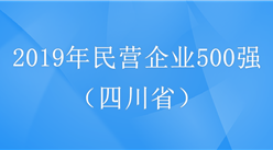 2019年中国民营企业500强四川省企业排行榜