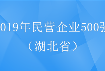 2019年中国民营企业500强湖北省企业排行榜
